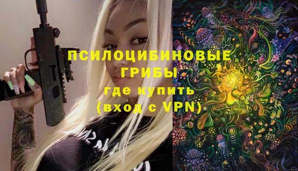 apvp Нефтекумск