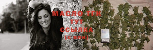 ПСИЛОЦИБИНОВЫЕ ГРИБЫ Дмитриев