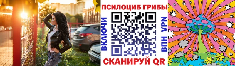 как найти   Холмск  Галлюциногенные грибы Magic Shrooms 